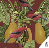 Tiê sangue Cutout Oxford - Insectashoes brasil