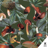 Amanita Oxford - Insectashoes brasil